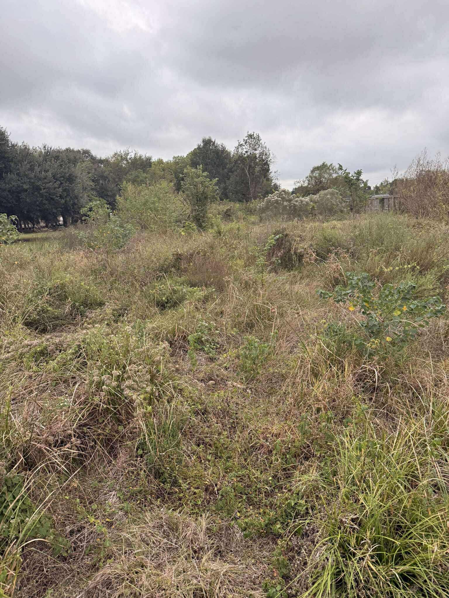 Junk Removal in Alvin, TX